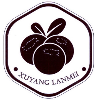 XUYANG LANMEI;XUYANG LANMEI