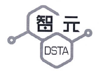 智元 DSTA;DSTA