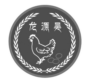 龙源昊