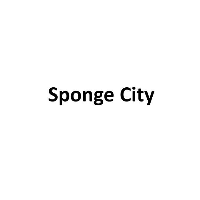 SPONGE CITY;SPONGECITY