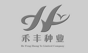 禾丰种业 HEFENGZHONGYELIMITEDCOMPANY;HEFENGZHONGYELIMITEDCOMPANY