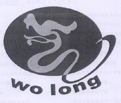 WO LONG;WO LONG