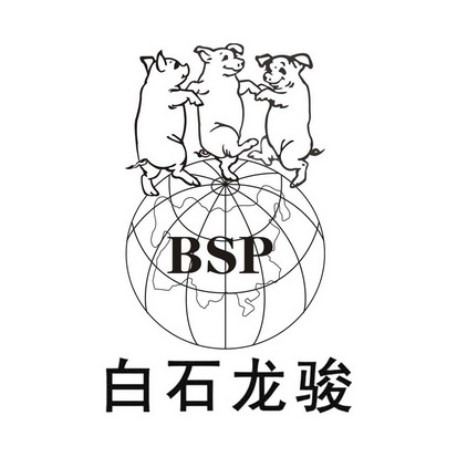 白石龙骏;BSP