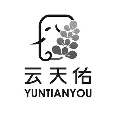 云天佑;YUNTIANYOU