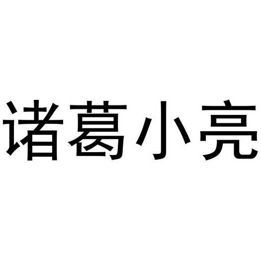 诸葛小亮