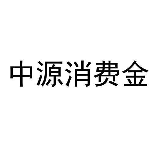 中源消费金