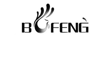 B FENG;B FENG