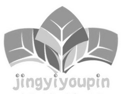 ;JINGYIYOUPIN