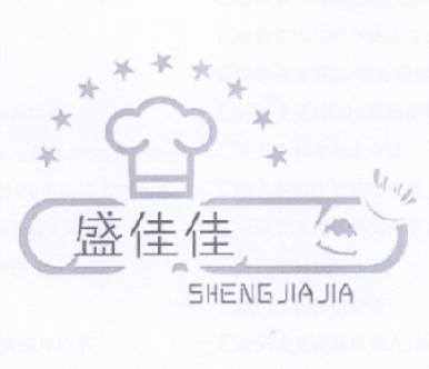 盛佳佳;SHENGJIAJIA