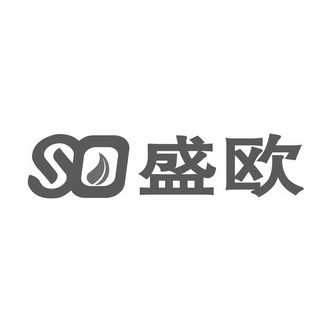 SO 盛欧;SO