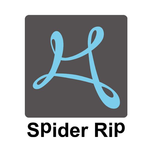 SPIDER RIP;SPIDER RIP