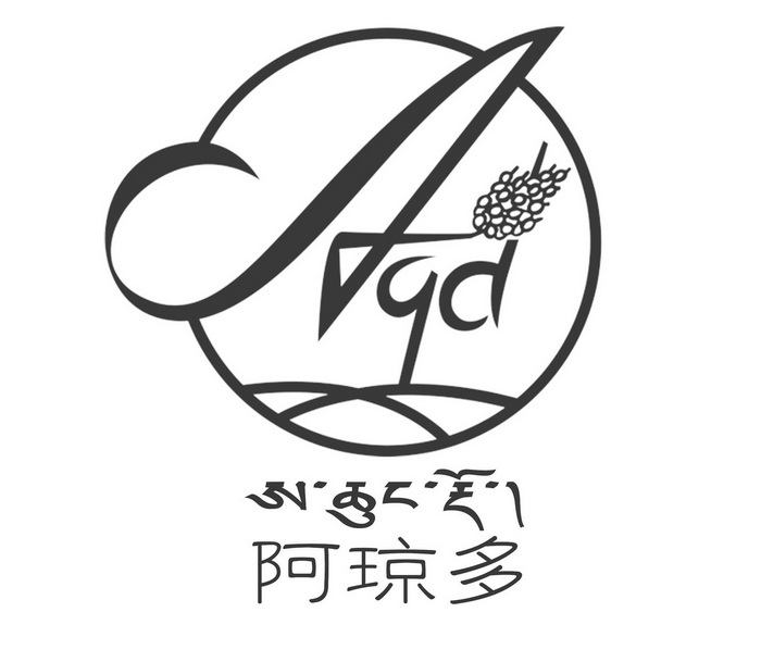 阿琼多;AQD