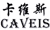 卡维斯 CAVEIS;CAVEIS