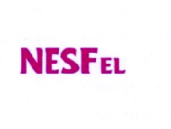 NESFEL;NESFEL