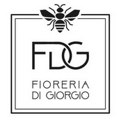 FDG FIORERIA DI GIORGIO;FDG FIORERIA DI GIORGIO