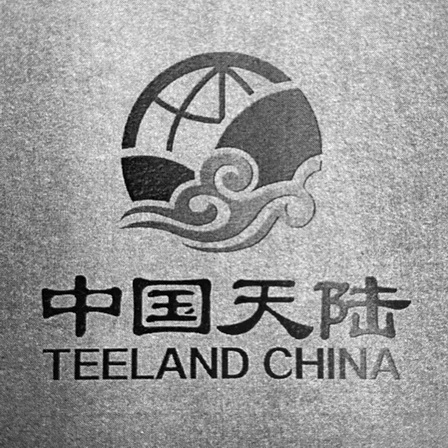 中国天陆;TEELAND CHINA