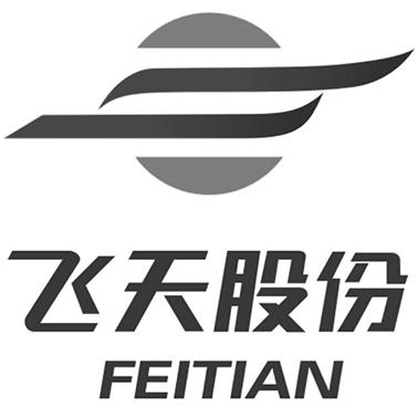 飞天股份;FEITIAN