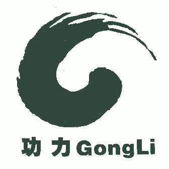 功力;GONGLI