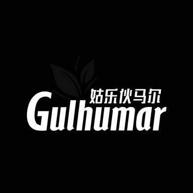 姑乐伙马尔 GULHUMAR;GULHUMAR