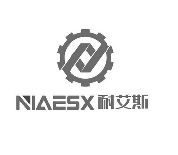 耐艾斯;NIAESX