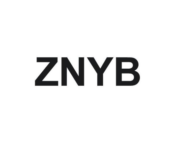 ZNYB;ZNYB