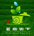 茗鼎天下 TEA;TEA