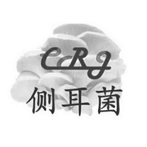 侧耳菌 ECRJ;ECRJ