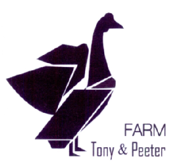 FARM TONY&PEETER;FARM TONY&PEETER