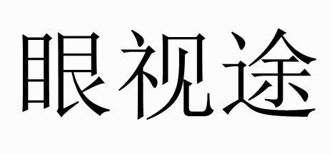 眼视途