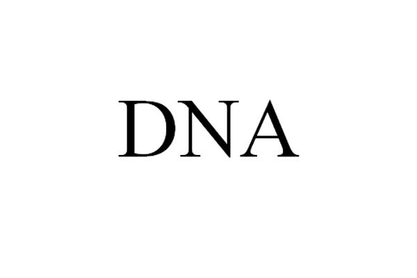 DNA;DNA