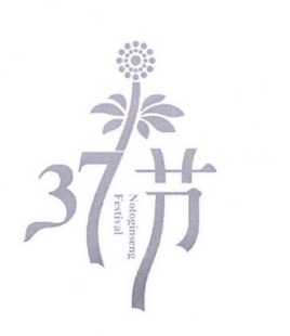 37 节 NOTOGINSENG FESTIVAL;37  NOTOGINSENG FESTIVAL