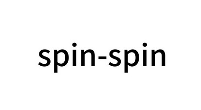 SPIN-SPIN;SPIN SPIN