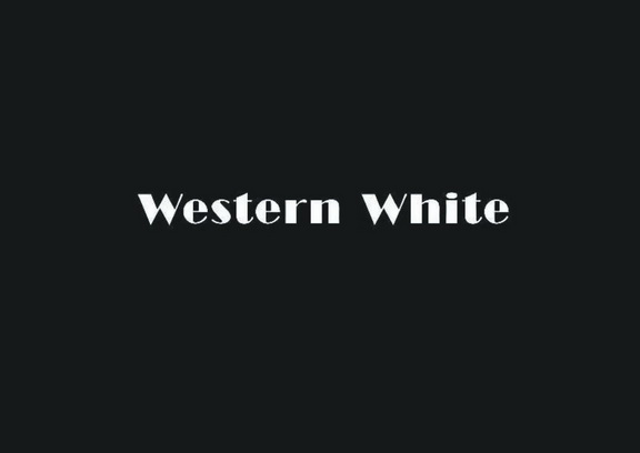 WESTERN WHITE;WESTERN WHITE