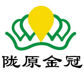 陇原金冠