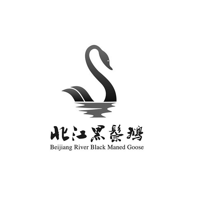 北江黑鬃鹅 BEIJIANG RIVER BLACK MANED GOOSE;BEIJIANG RIVER BLACK MANED GOOSE