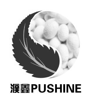 濮鑫 PUSHINE;PUSHINE