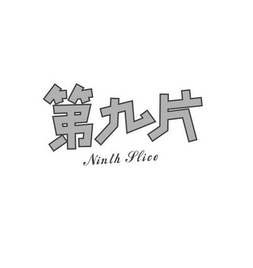 第九片;NINTH SLICE