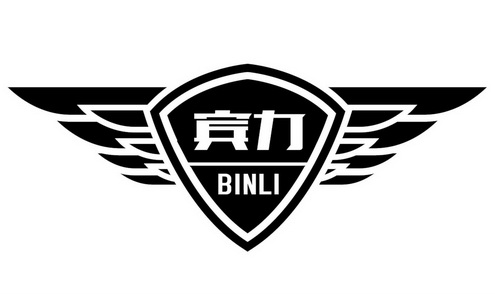 宾力;BINLI