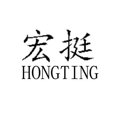 宏挺;HONGTING