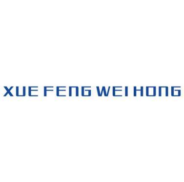 XUE FENG WEI HONG;XUE FENG WEI HONG