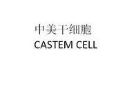 中美干细胞 CASTEM CELL;CASTEM CELL