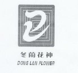 冬兰花神;DONG LAN FLOWER;DONG LAN FLOWER