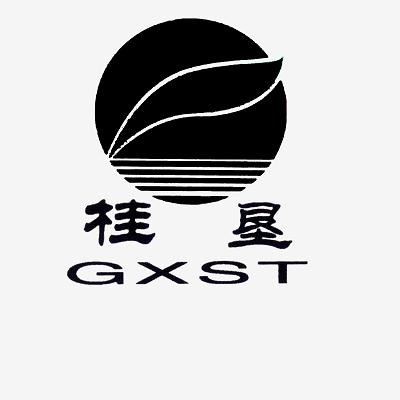 桂垦;GXST