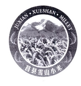 莒县雪山小米 JUXIAN·XUESHAN·MILLET;JUXIANXUESHANMILLET