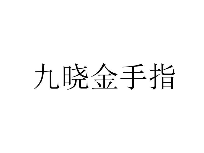 九晓金手指