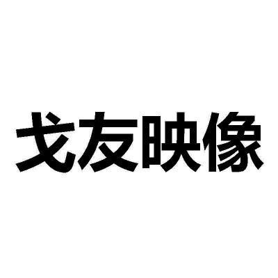 戈友映像