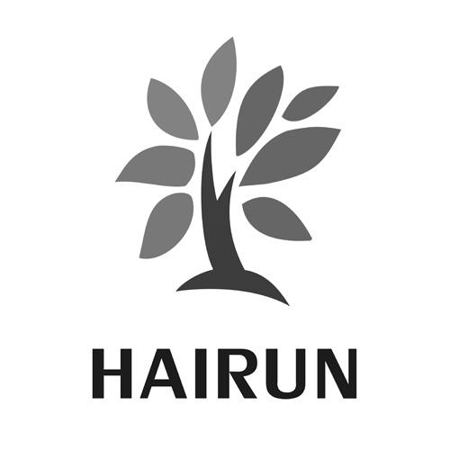 HAIRUN;HAIRUN