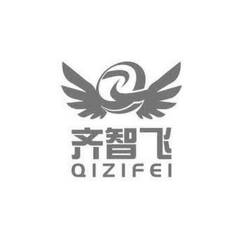 齐智飞;QIZIFEI