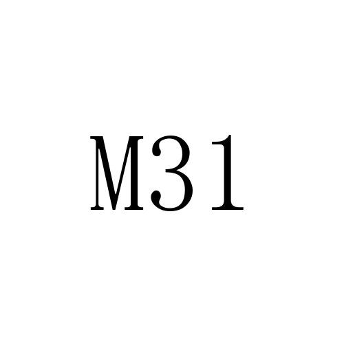 M31