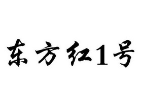 东方红1号;1